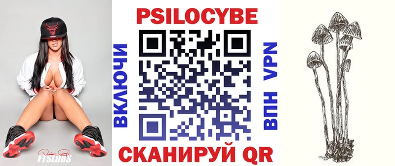 Псилоцибиновые грибы MAGIC MUSHROOMS  hydra как войти  Новотроицк 
